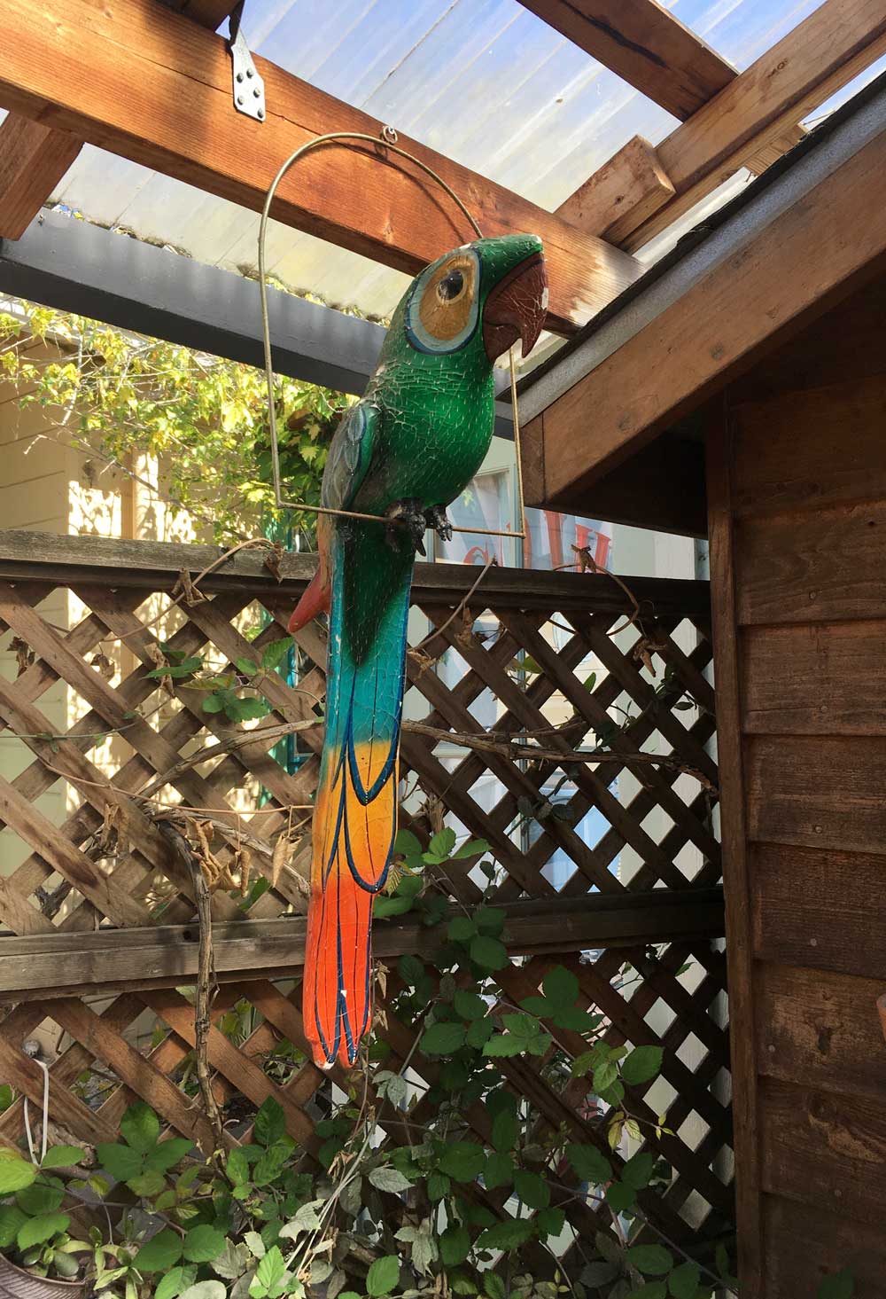 Pedro