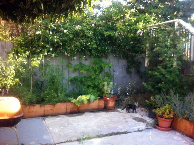 Garden